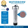 WATERBORN W-10 Zeoplus Fiberglass Outdoor Water Filter